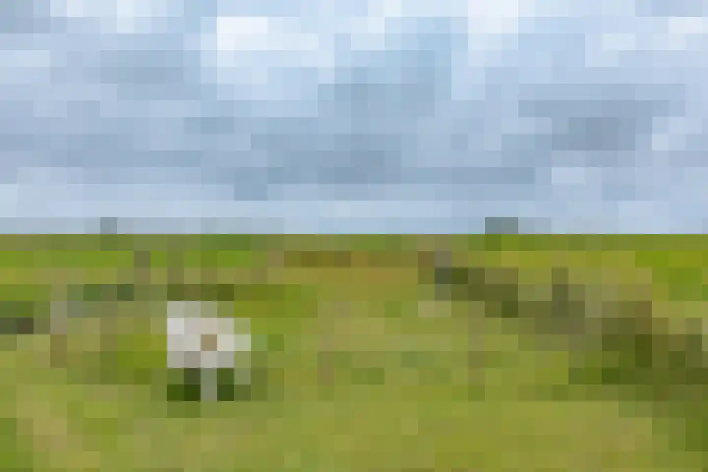 Burghornerweg 2 B Schagen thumbnail 39