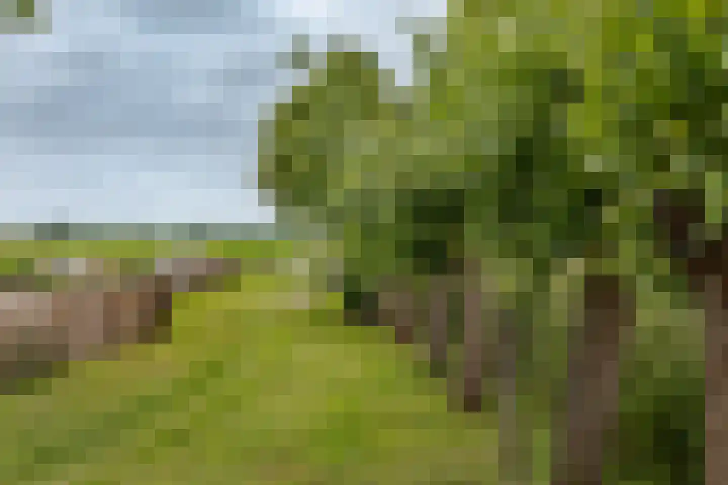 Burghornerweg 2 B Schagen thumbnail 40
