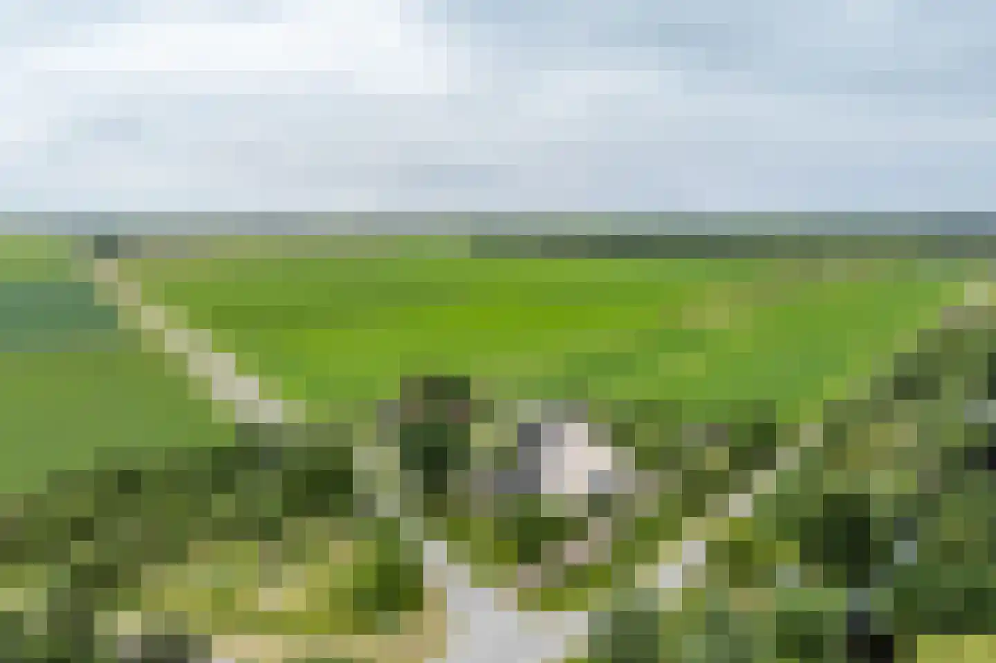 Burghornerweg 2 B Schagen thumbnail 41