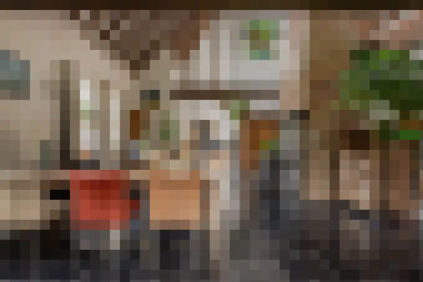 Burghornerweg 2 B Schagen thumbnail 9