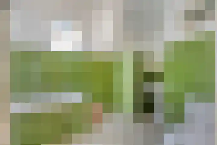 Burghornerweg 4 Schagen thumbnail 15