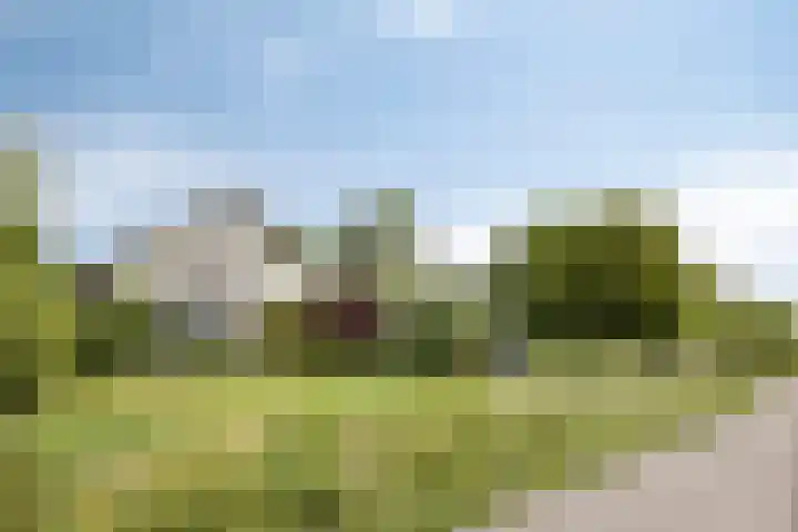 Burghornerweg 4 Schagen thumbnail 18