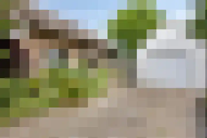Burghornerweg 4 Schagen thumbnail 19
