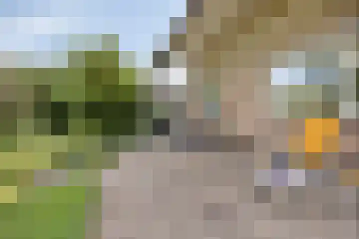 Burghornerweg 4 Schagen thumbnail 20