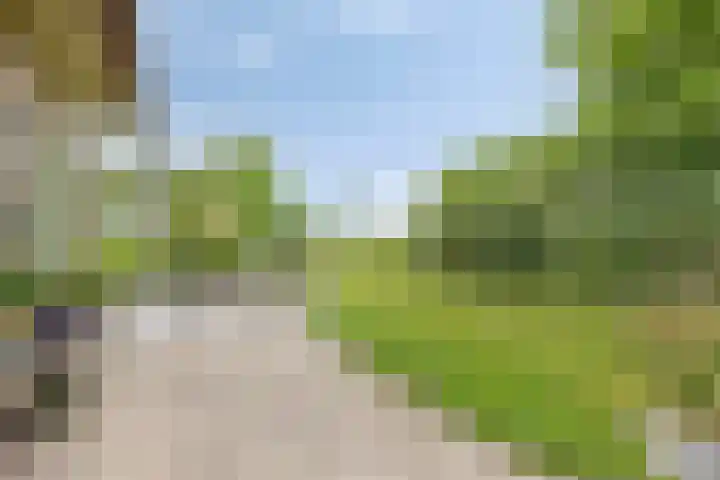 Burghornerweg 4 Schagen thumbnail 21