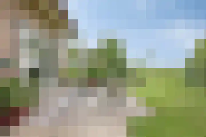 Burghornerweg 4 Schagen thumbnail 22