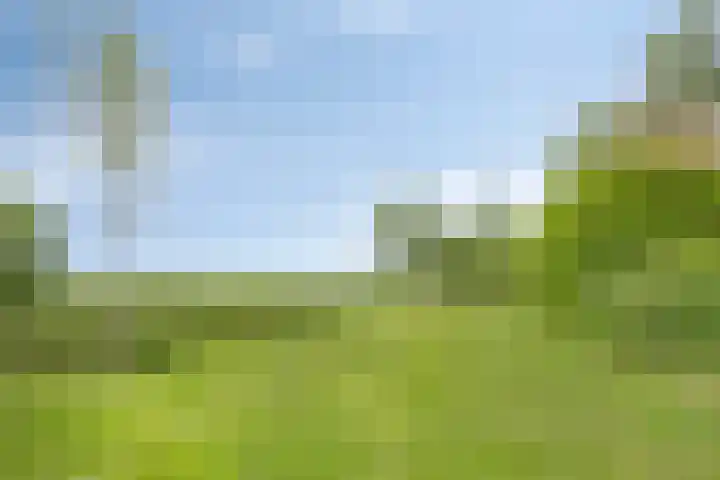 Burghornerweg 4 Schagen thumbnail 23