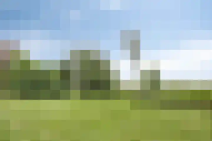 Burghornerweg 4 Schagen thumbnail 24