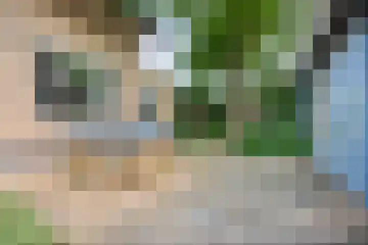 Burghornerweg 4 Schagen thumbnail 26