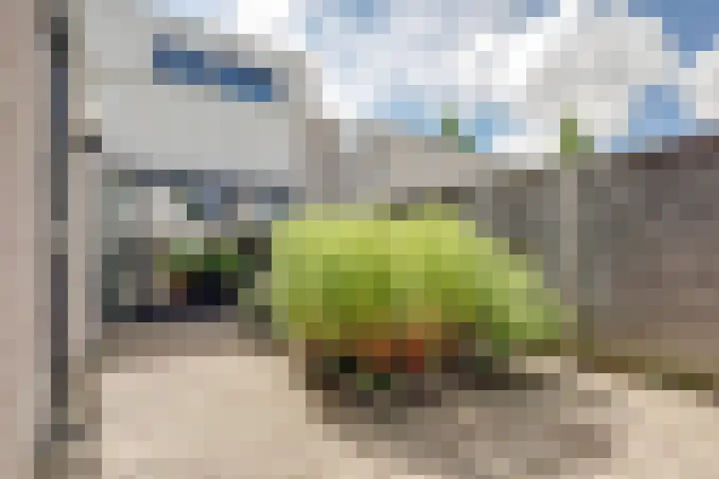 Burghornlaan 5 Heerhugowaard thumbnail 31