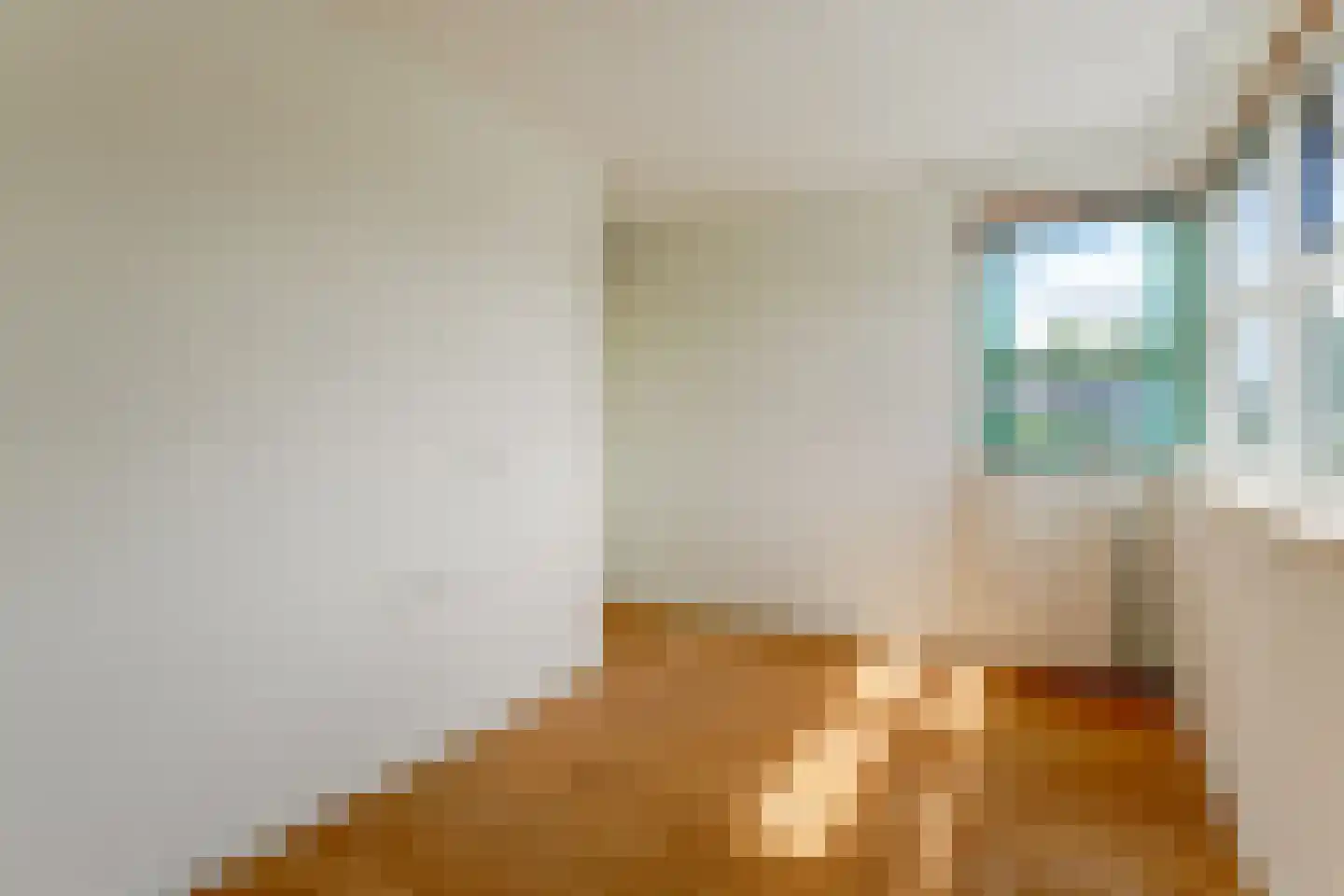 Burghornlaan 5 Heerhugowaard thumbnail 51