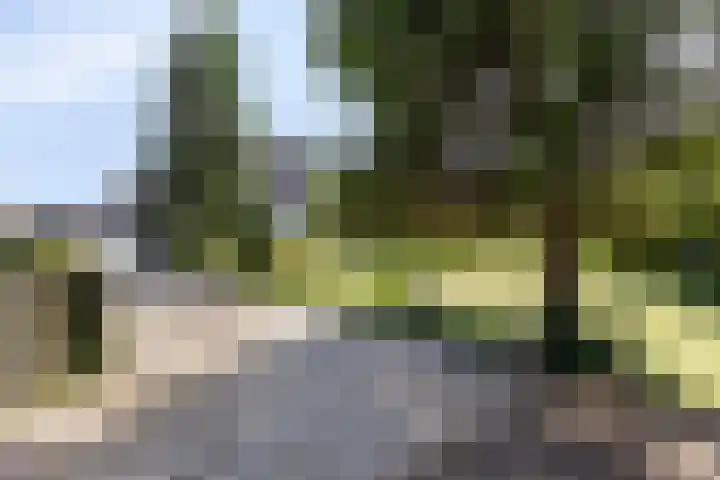 Burghseweg 31 Burgh-Haamstede thumbnail 38