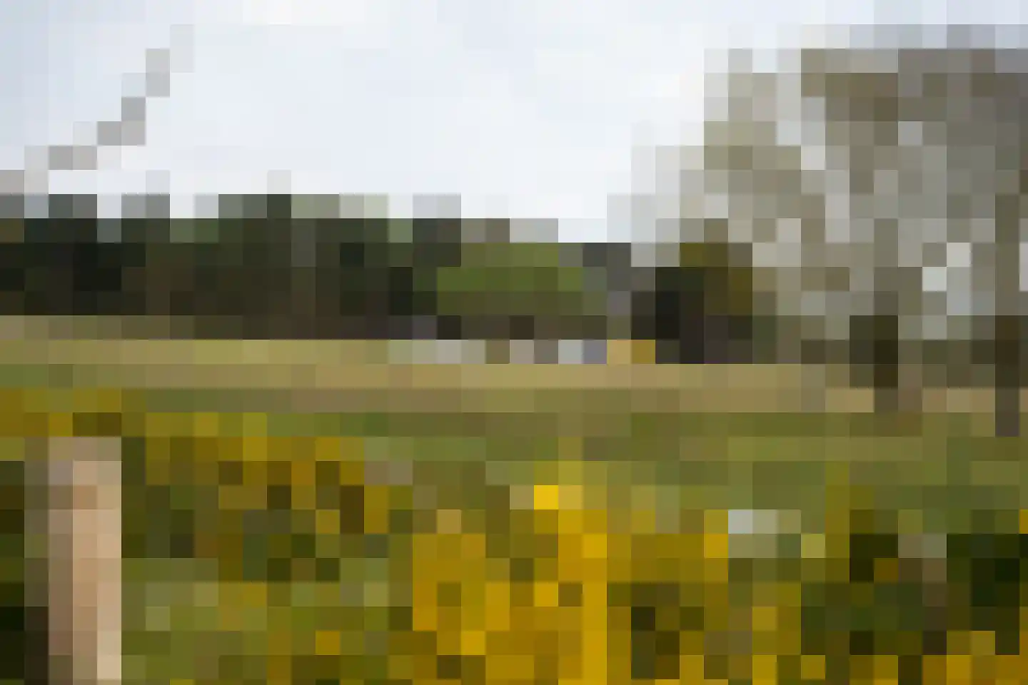Burghseweg 74 Burgh-Haamstede thumbnail 65