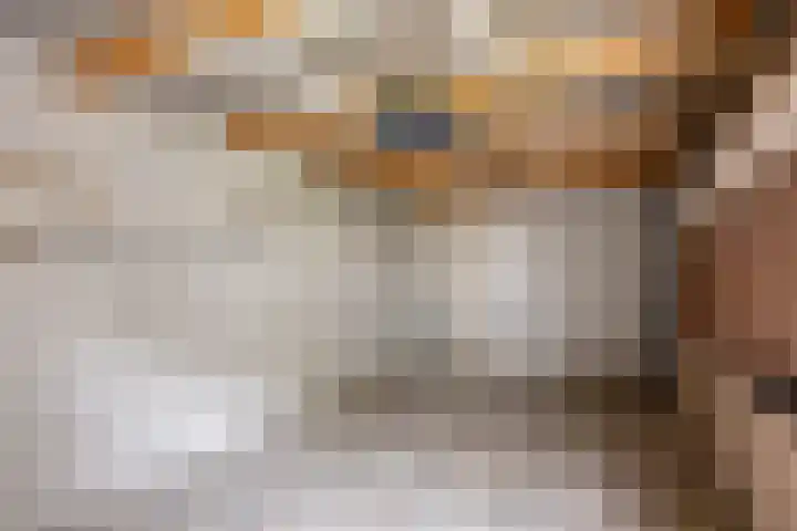 Burghstraat 40 Eindhoven thumbnail 29