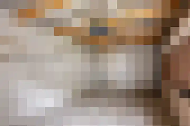 Burghstraat 40 Eindhoven thumbnail 4