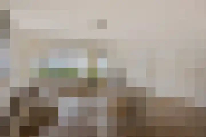Burghstraat 40 Eindhoven thumbnail 7