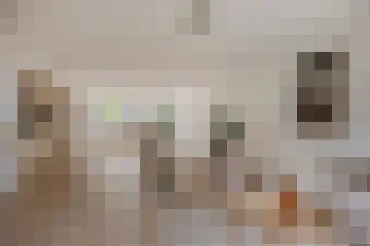Burghstraat 40 Eindhoven thumbnail 8