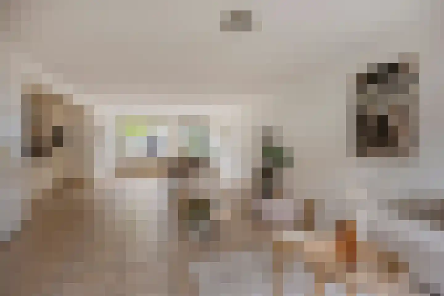 Burghstraat 40 Eindhoven thumbnail 8