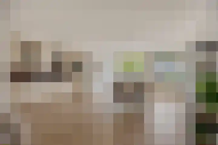 Burghstraat 40 Eindhoven thumbnail 9