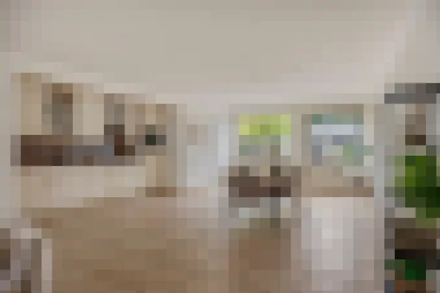 Burghstraat 40 Eindhoven thumbnail 9