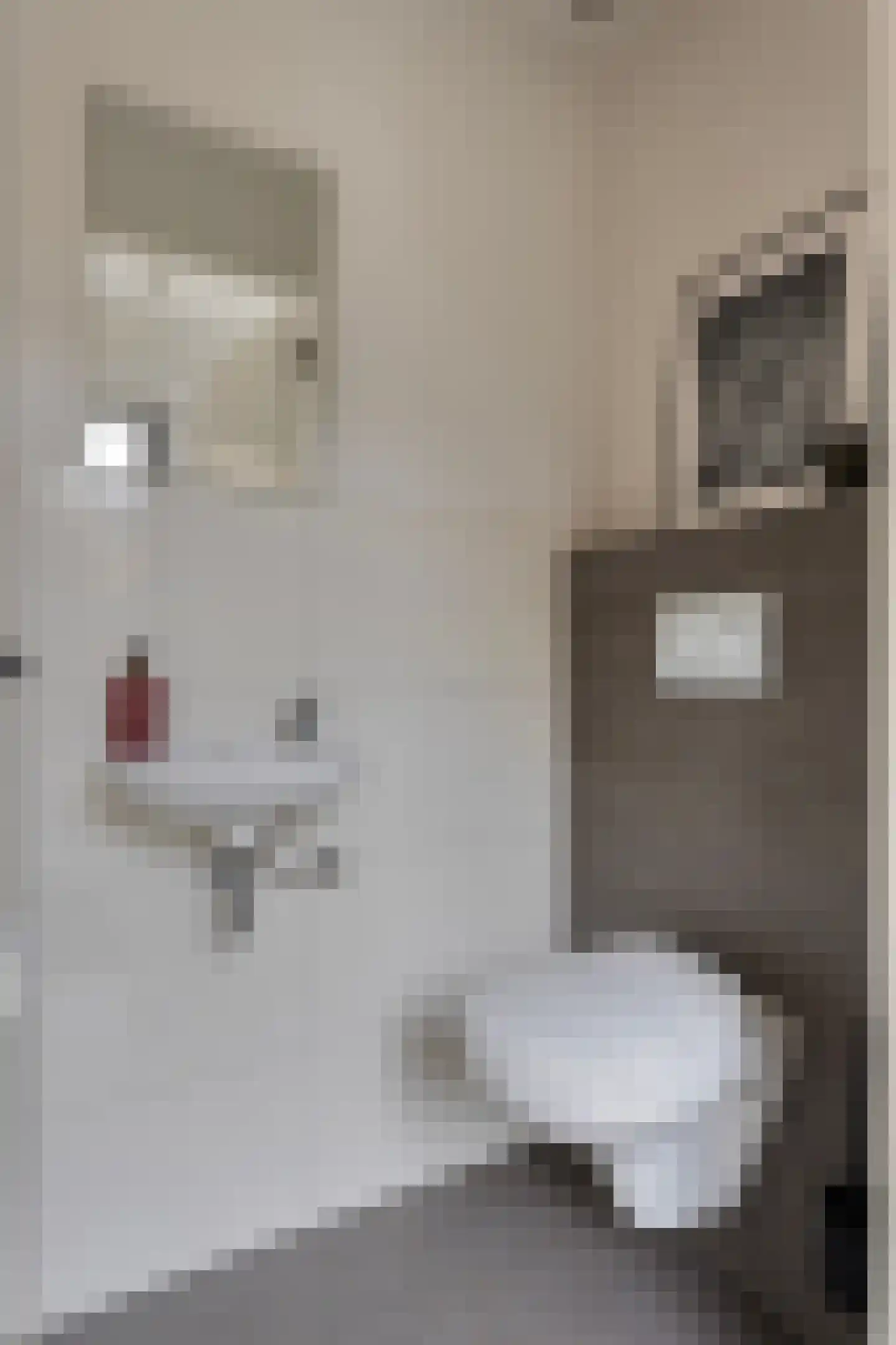 Burghstraat 54 Eindhoven thumbnail 13