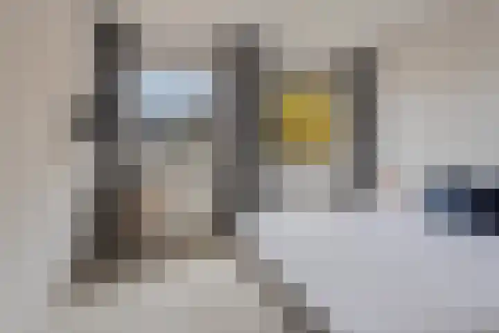 Burghstraat 54 Eindhoven thumbnail 14