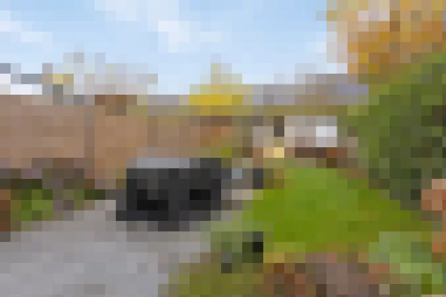 Burghstraat 54 Eindhoven thumbnail 20