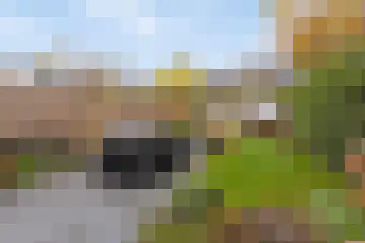 Burghstraat 54 Eindhoven thumbnail 20