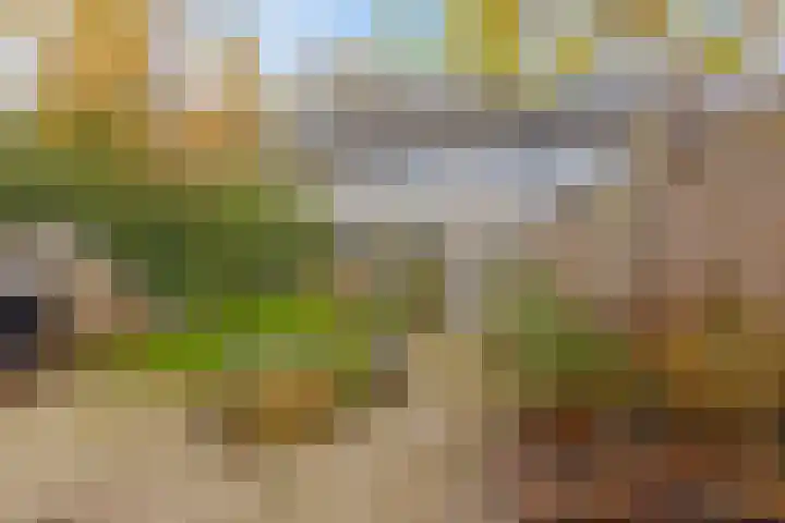 Burghstraat 54 Eindhoven thumbnail 21
