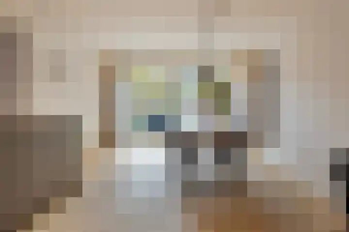 Burghstraat 54 Eindhoven thumbnail 7