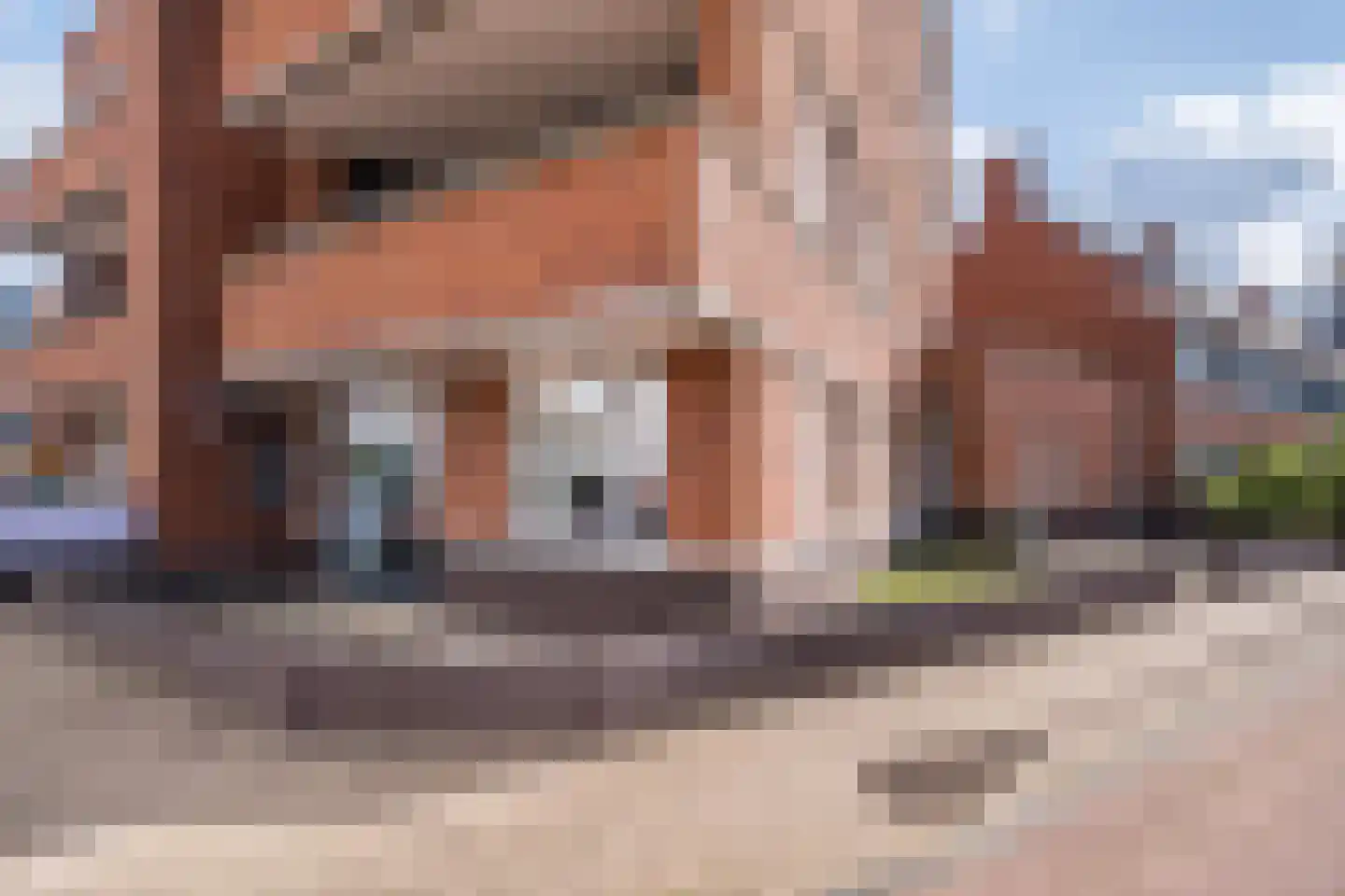 Burghtstraat 7 Geldrop thumbnail 4