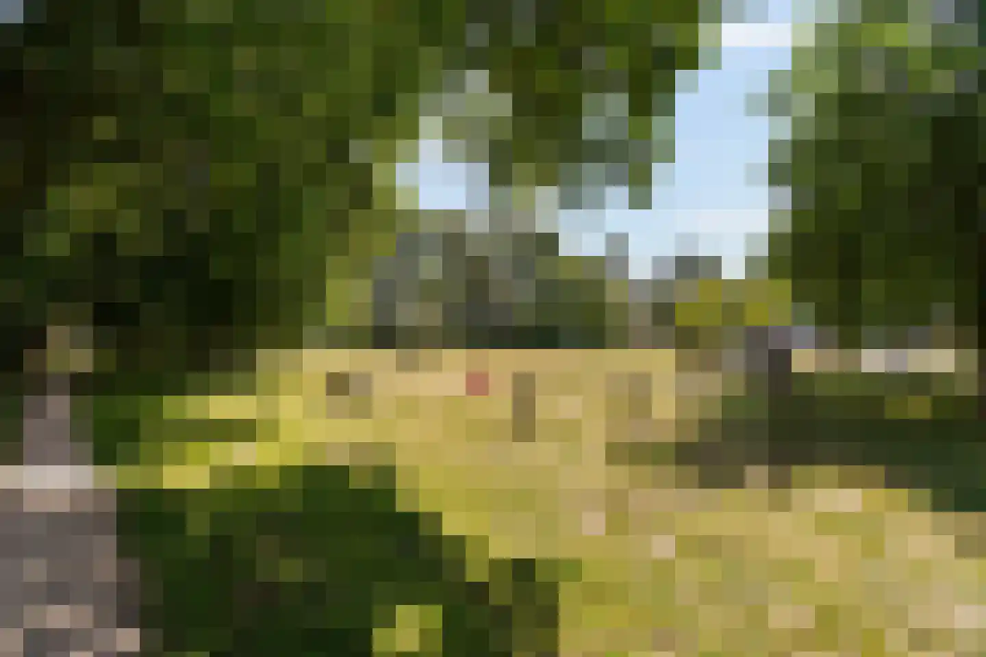 Burghzatenplein 15 Ouderkerk aan de Amstel thumbnail 37