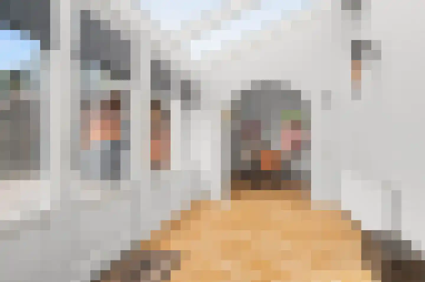 Burglaan 45 Apeldoorn thumbnail 13
