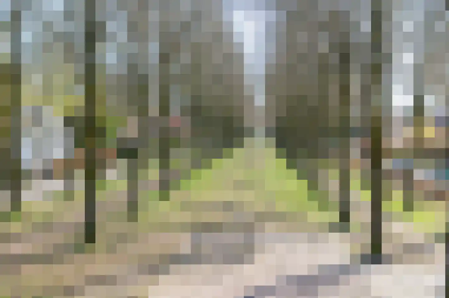 Burglaan 45 Apeldoorn thumbnail 49