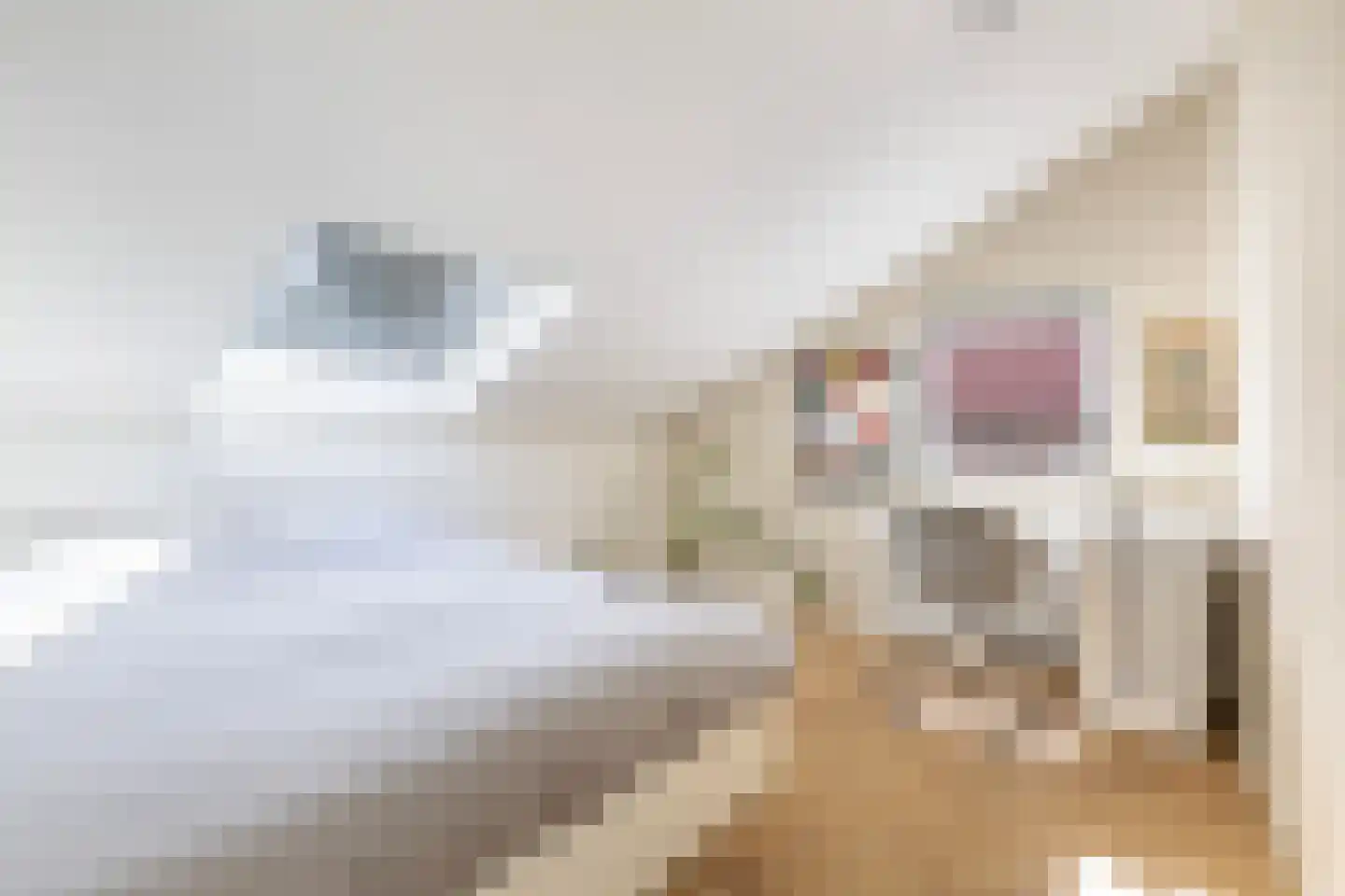 Burglaan 8 Apeldoorn thumbnail 23