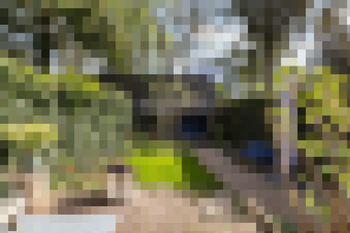 Burglaan 8 Apeldoorn thumbnail 27