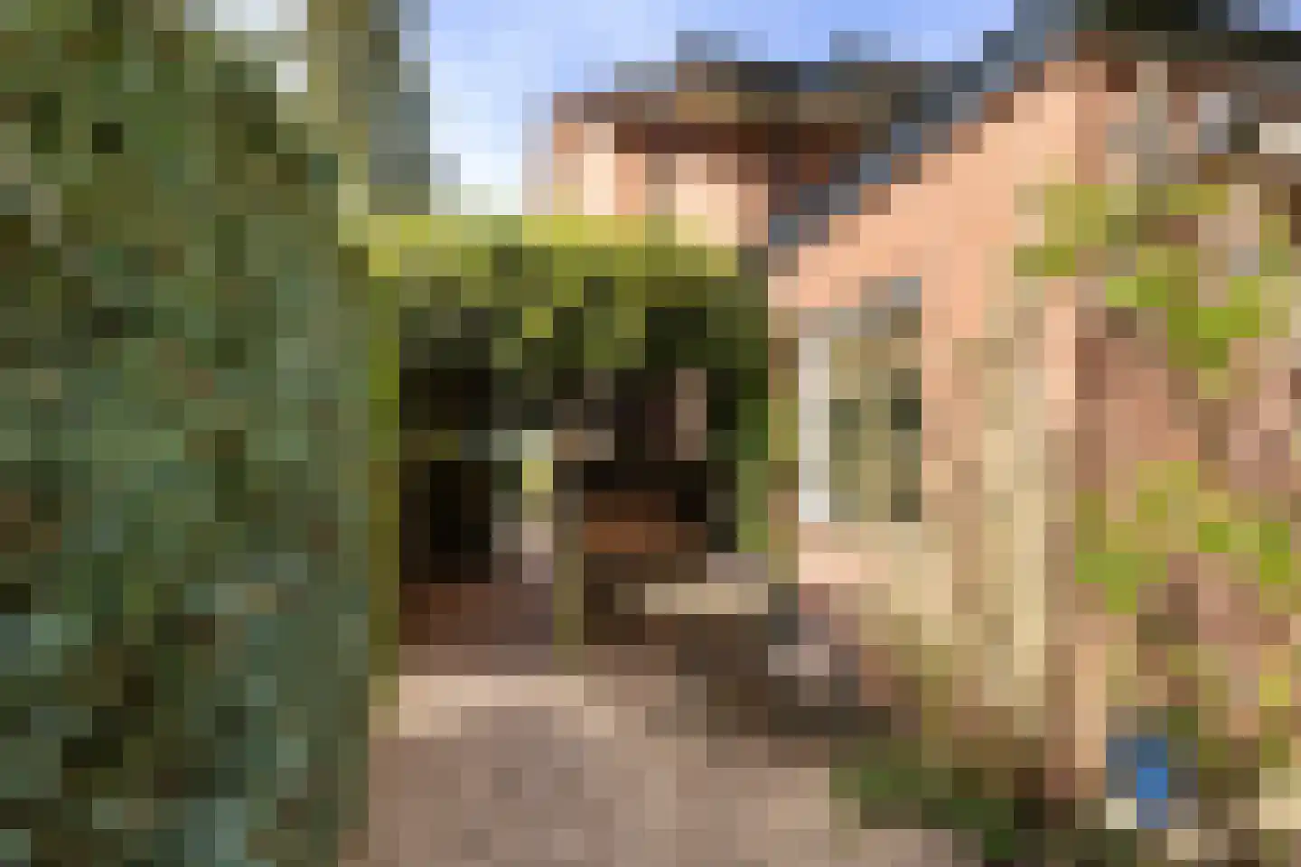 Burglaan 8 Apeldoorn thumbnail 31
