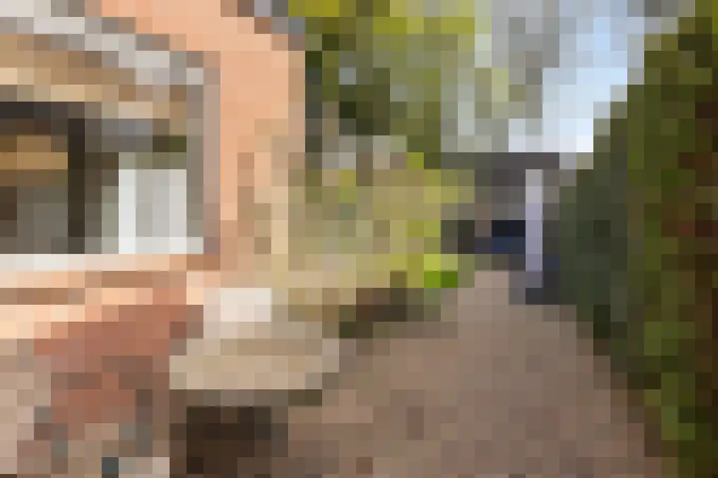 Burglaan 8 Apeldoorn thumbnail 32