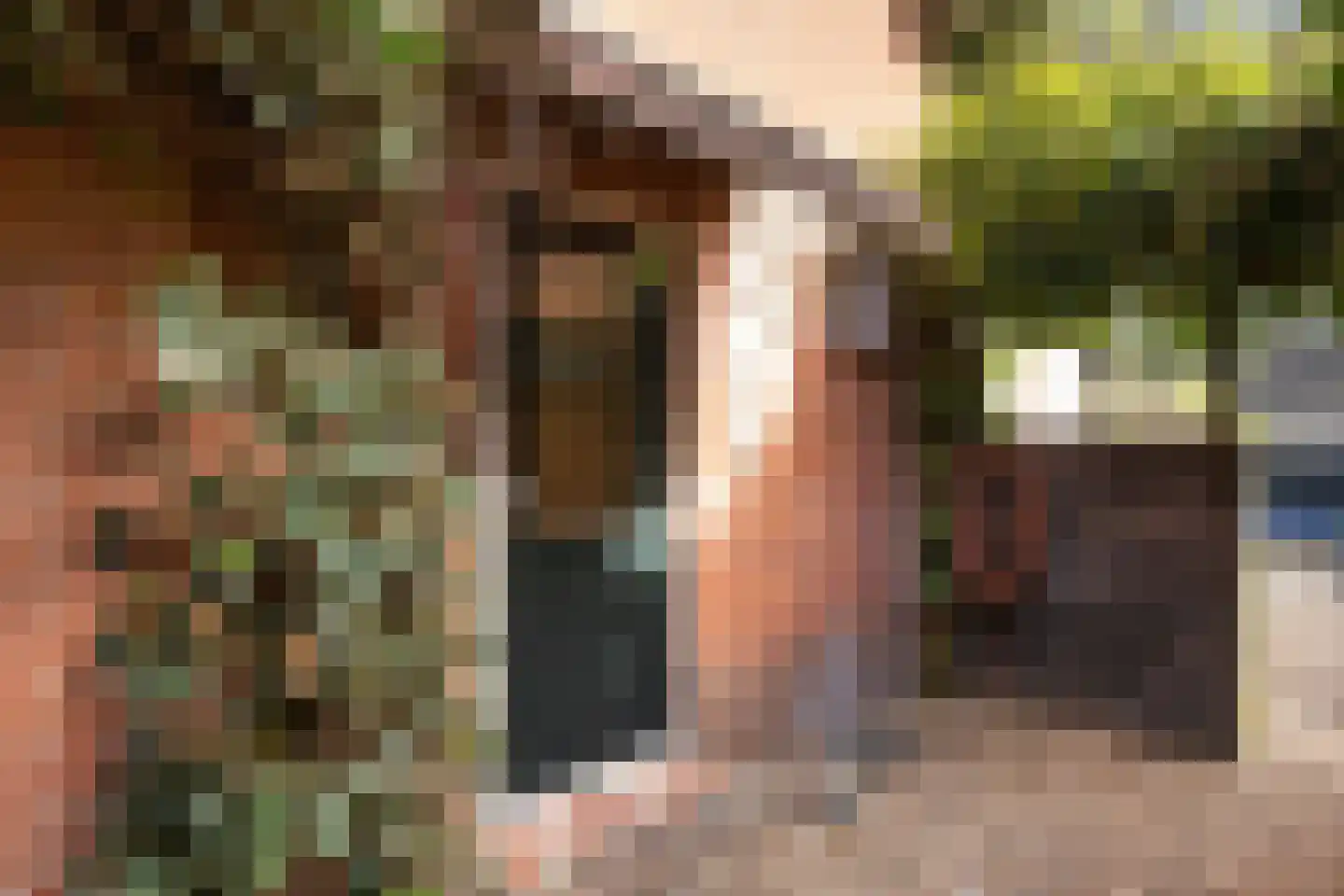 Burglaan 8 Apeldoorn thumbnail 33