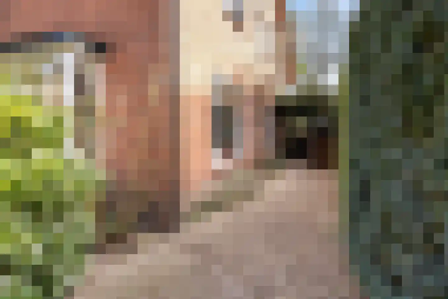Burglaan 8 Apeldoorn thumbnail 35
