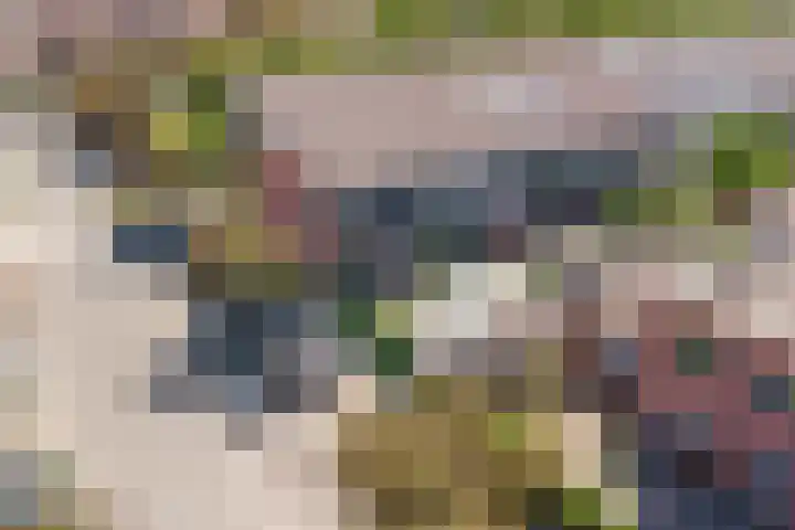 Burgplantsoen 2 Heerhugowaard thumbnail 30