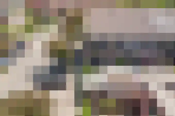 Burgplantsoen 2 Heerhugowaard thumbnail 31