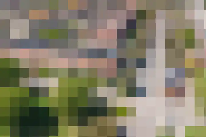 Burgplantsoen 2 Heerhugowaard thumbnail 33