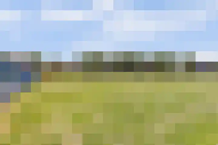 Burgplantsoen 2 Heerhugowaard thumbnail 35