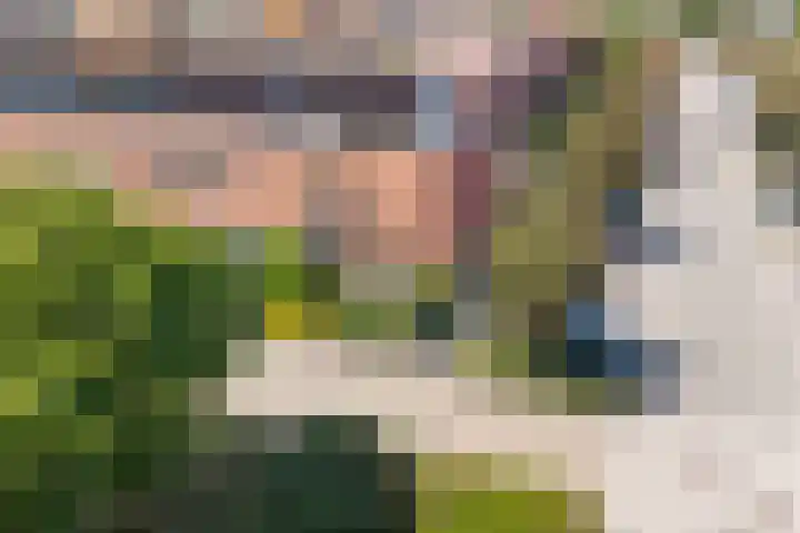 Burgplantsoen 2 Heerhugowaard thumbnail 4