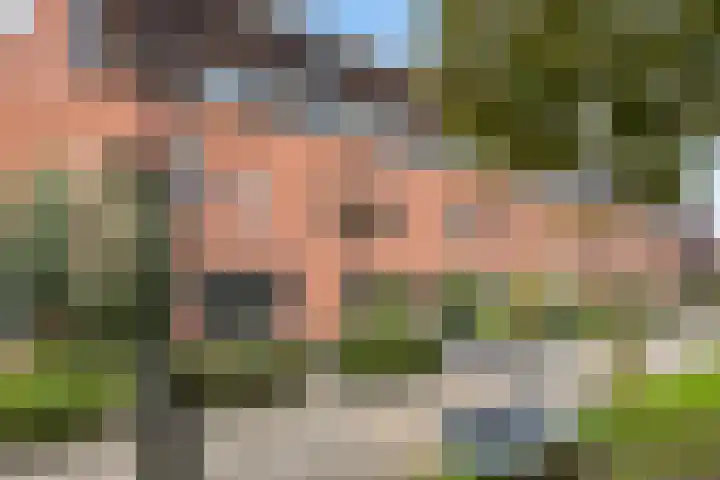 Burgplantsoen 50 Heerhugowaard thumbnail 32