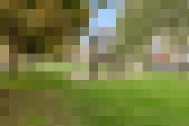 Burgplantsoen 50 Heerhugowaard thumbnail 34