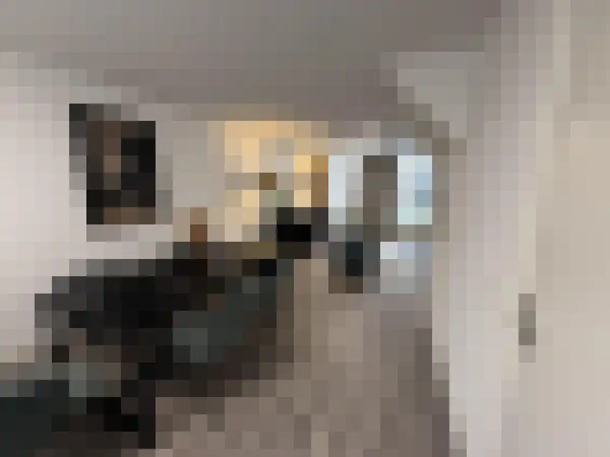 Burgsteeg 3 Leiden thumbnail 6