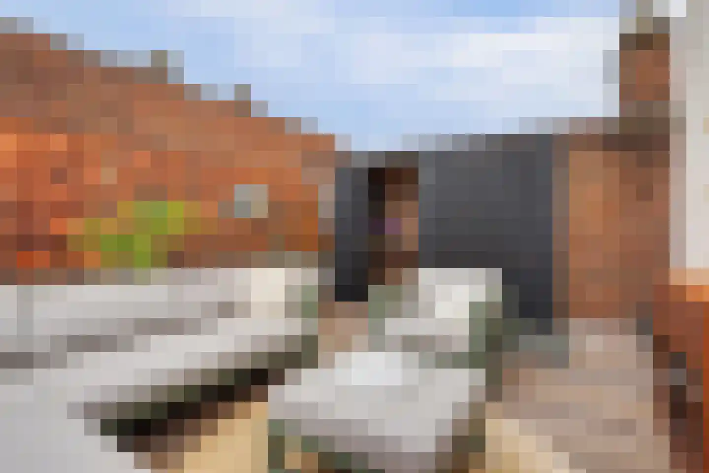Burgstraat 20 Gorinchem thumbnail 5