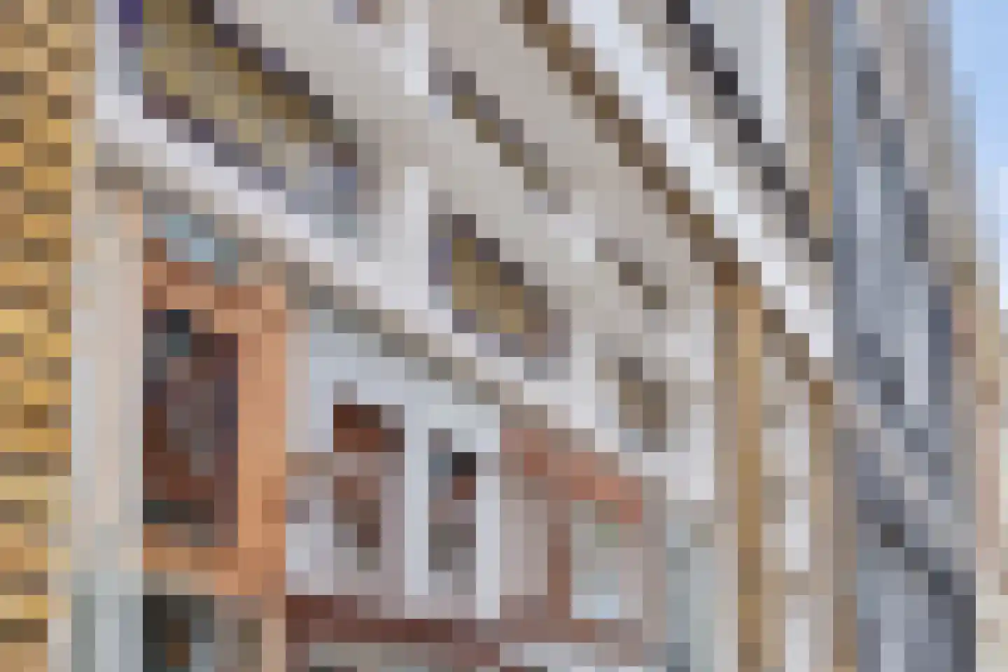 Burgstraat 20 Gorinchem thumbnail 6